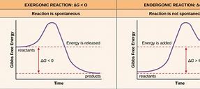 Image result for Activation Energy Error