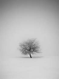 Image result for Minimal Aesthetic Wallpaper iPad