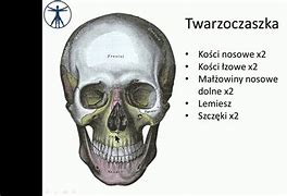 Image result for co_to_znaczy_zapalenie_kości_i_szpiku