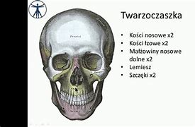 Image result for co_to_znaczy_ziarniniak_grzybiasty