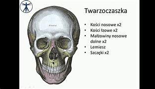 Image result for co_to_za_ziarniniak_kwasochłonny