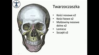 Image result for co_to_znaczy_zatoka_wszystkich_Świętych