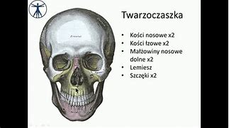 Image result for co_to_znaczy_zatoka_carpentaria