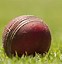 Image result for Cricket Ball Background