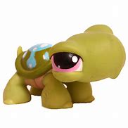 Image result for LPS Turtle