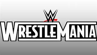Image result for WWE Wrestlemania 28 Poster