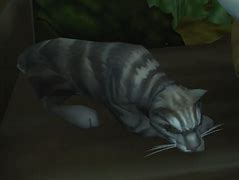 Image result for WoW Brain Battle Pet