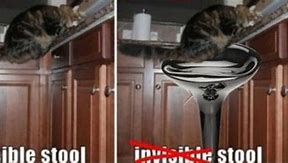 Image result for Texture ID for Invisible Cat