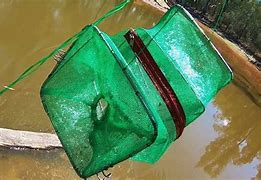 Image result for Best Yabbying Accessories