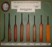 Image result for Cricket Bat Illustration