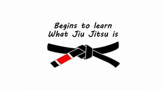 Image result for Brazilian Jiu Jitsu Black Belt