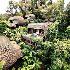 Top 5 Tree House Hotels From Around the World