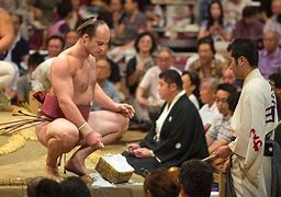 Image result for White Sumo Wrestling