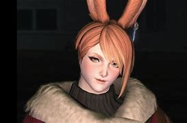 Image result for FF14 Male Viera Makeup Mod