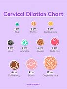 Image result for Cervical Dilation Measurement