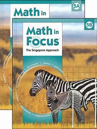 Image result for Math in Focus Grade 5