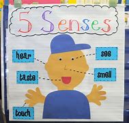 Image result for Five Senses Kids