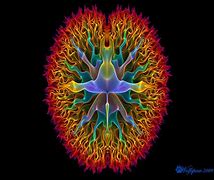 Image result for Brain Fractal