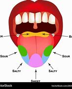 Image result for Taste Buds On Your Tongue