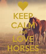 Image result for Horse Love Quotes
