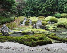 Image result for Moss Garden Design