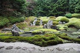 Image result for Moss Garden Trippy