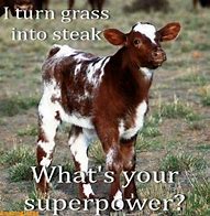 Image result for Dirty Farming Memes