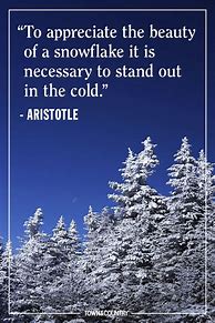 Image result for Cute Snow Quotes