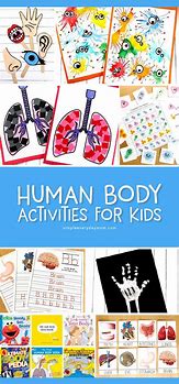 Image result for Human Body Activities