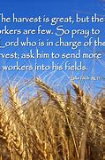 Image result for Harvest Quotes and Sayings