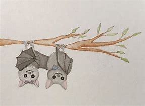 Image result for Bat Watercolour