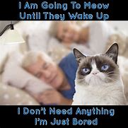 Image result for Grumpy Cat Bored Meme