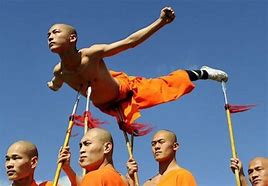 Image result for Shaolin Kung Fu Moves