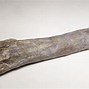 Image result for Sauropod Legs