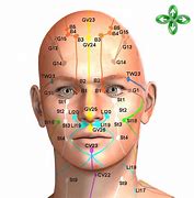 Image result for Acupuncture Spots