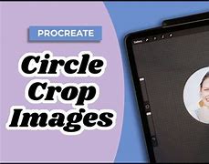 Image result for How to Crop in Procreate
