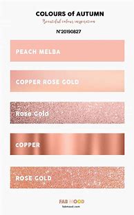 Image result for Rose Gold Color Wheel