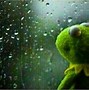 Image result for Kermit Meme Printable Out Template