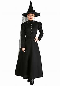Image result for Wicked Witch Halloween Costume