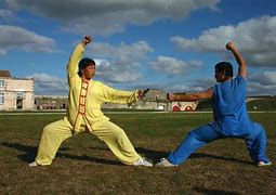 Image result for deadliest kung fu styles