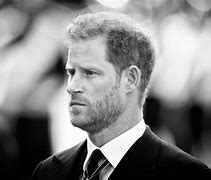 Image result for Prince Harry Costume