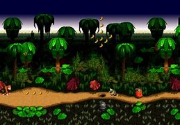 Image result for Donkey Kong Country Super Nintendo Stages