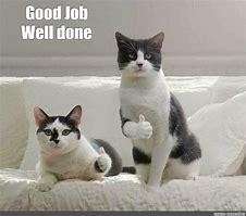 Image result for Business Cat Meme Good Job Jenkins