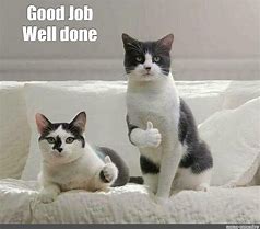 Image result for Great Job Cat Meme
