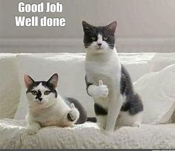 Image result for Well Done Animal Meme