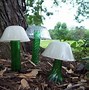 Image result for Glass Garden Mushrooms