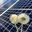 Image result for Yard Solar Panels
