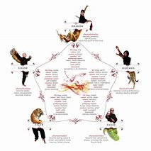 Image result for What Are the Top 5 Styles of Kung Fu
