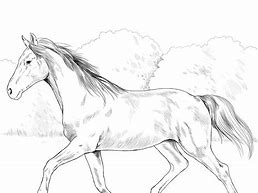 Image result for American Paint Horse Coloring Pages