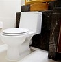Image result for Dual Flush Toilet Handle